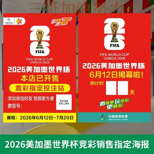 世界杯投注网站大全怎么选？一篇讲清楚｜真实体验（2026世界杯）